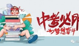 星城公司最新爆料消息视频,最新视频揭秘公司重大动态