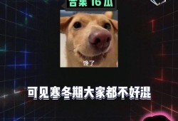娱乐八卦吃瓜是真的吗,吃瓜真相，是真是假？