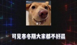 娱乐八卦吃瓜是真的吗,吃瓜真相，是真是假？