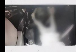 西安孕妇爆料事件视频,孕期遭遇歧视，公共场所维权引关注