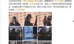 枫丹高层人物爆料视频大全,揭秘神秘内幕与决策过程