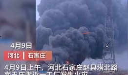 合肥工厂爆料事件视频,揭露背后的真相与争议